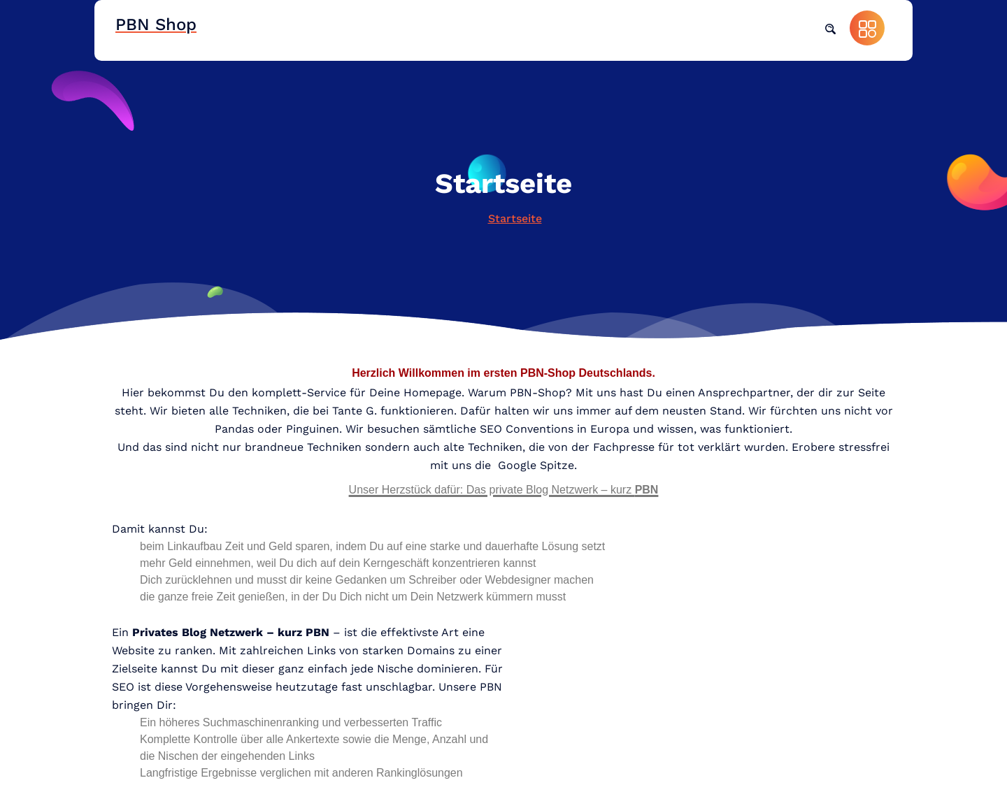 Aktuelle Website-Vorschau von PBN-Shop