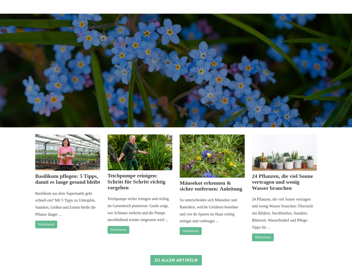 Aktuelle Website-Vorschau von Haus und Garten Profi