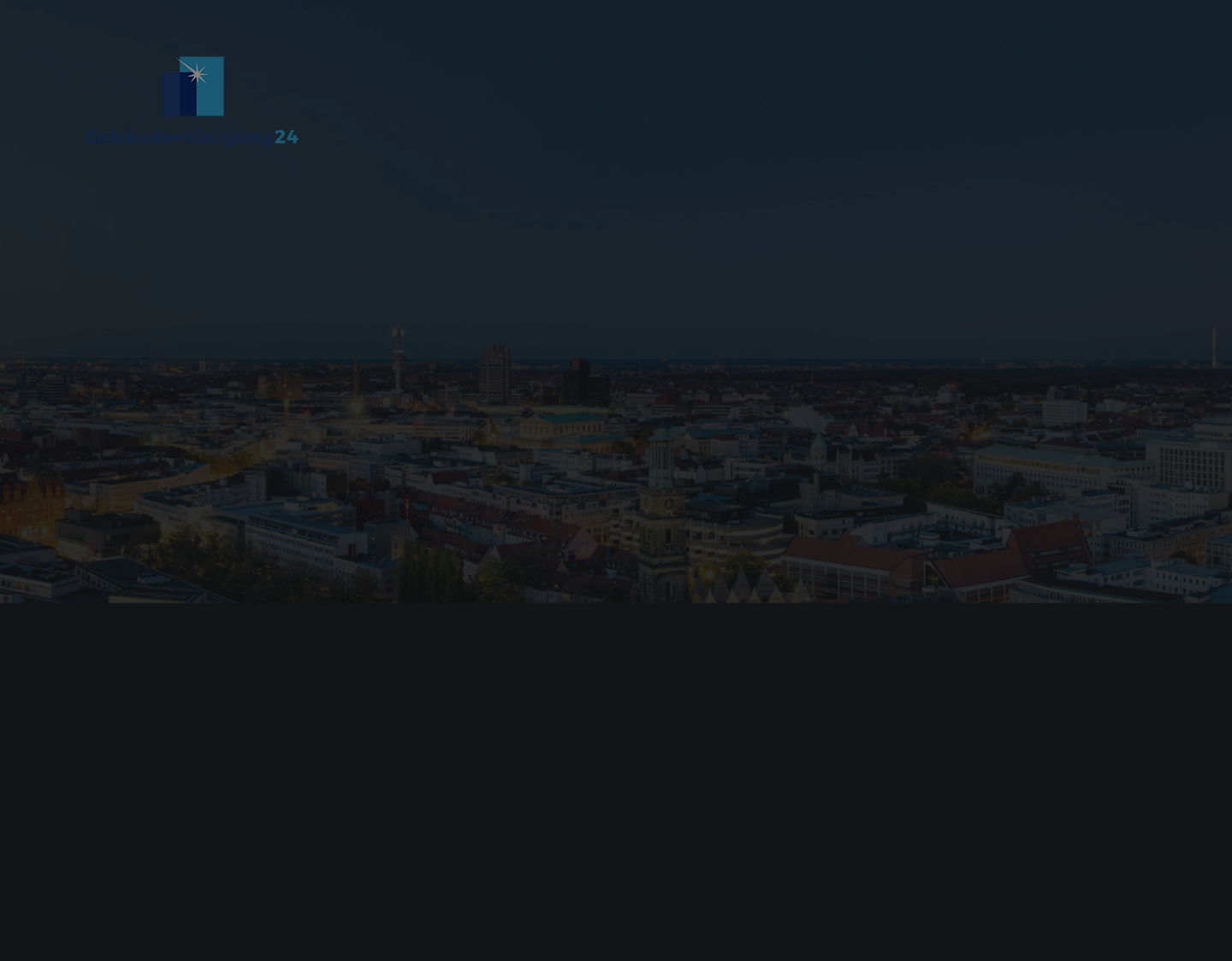 Aktuelle Website-Vorschau von Reinigungsfirma Hannover