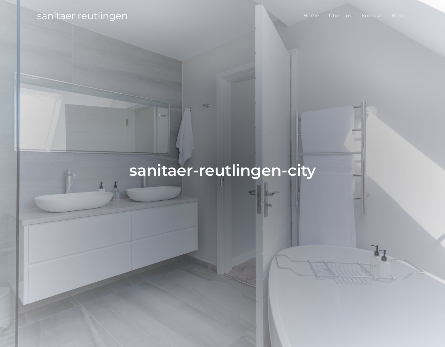 Aktuelle Website-Vorschau von Sanitaer Reutlingen City