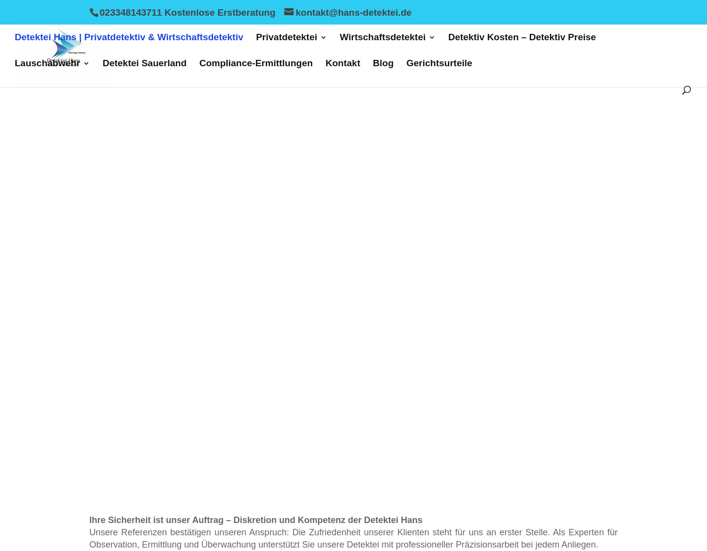 Aktuelle Website-Vorschau von Detektei Hans