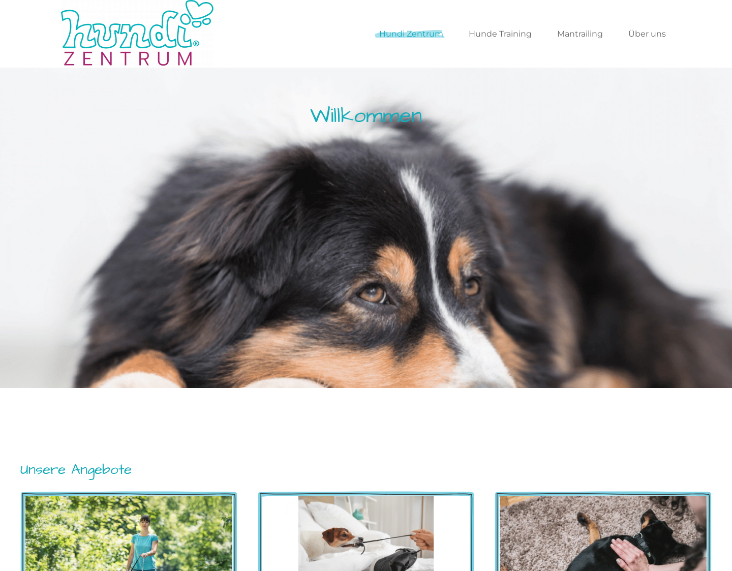 Aktuelle Website-Vorschau von Hundeschule Hunditraining
