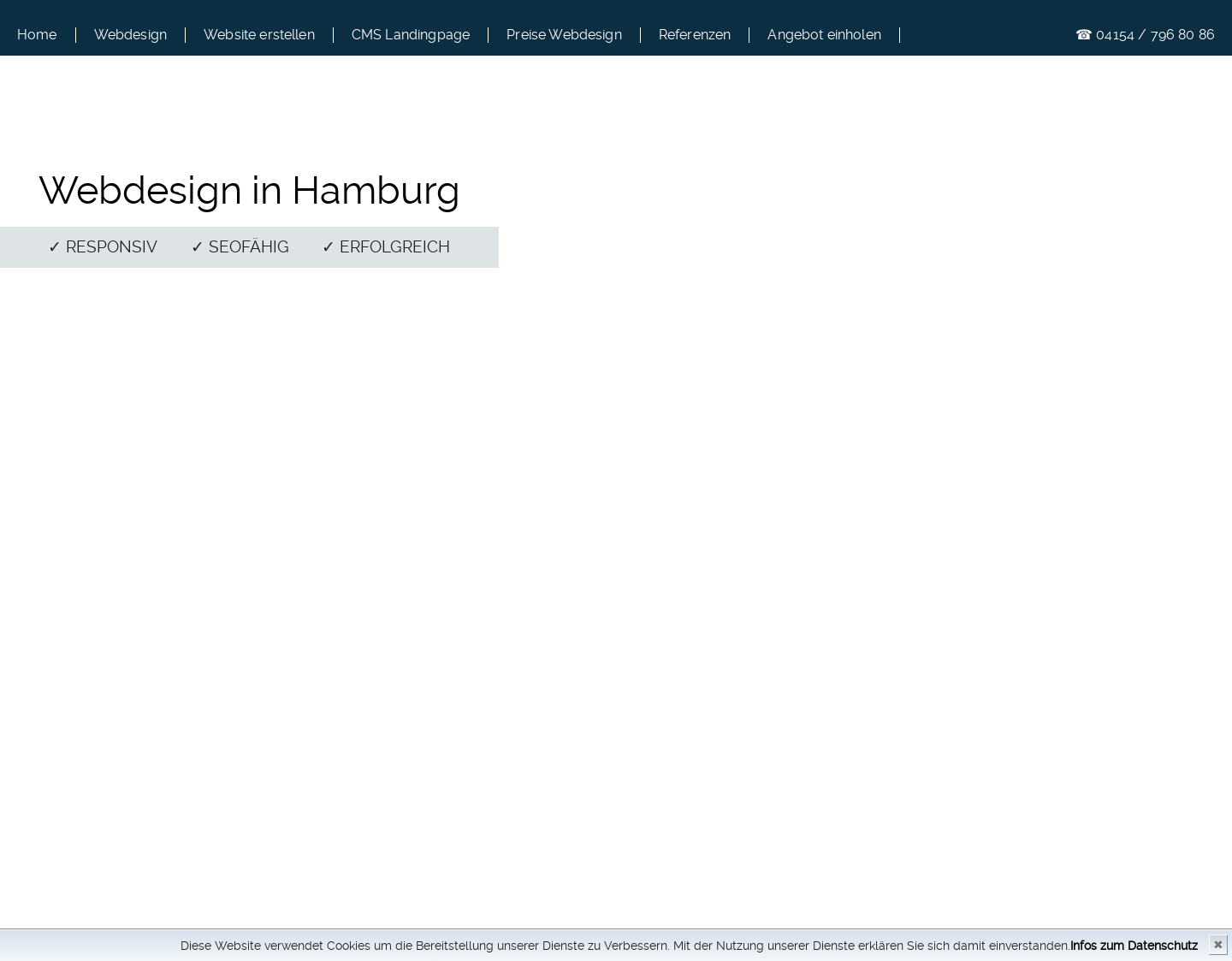 Aktuelle Website-Vorschau von Webdesign Hamburg mit netzS.E.O.