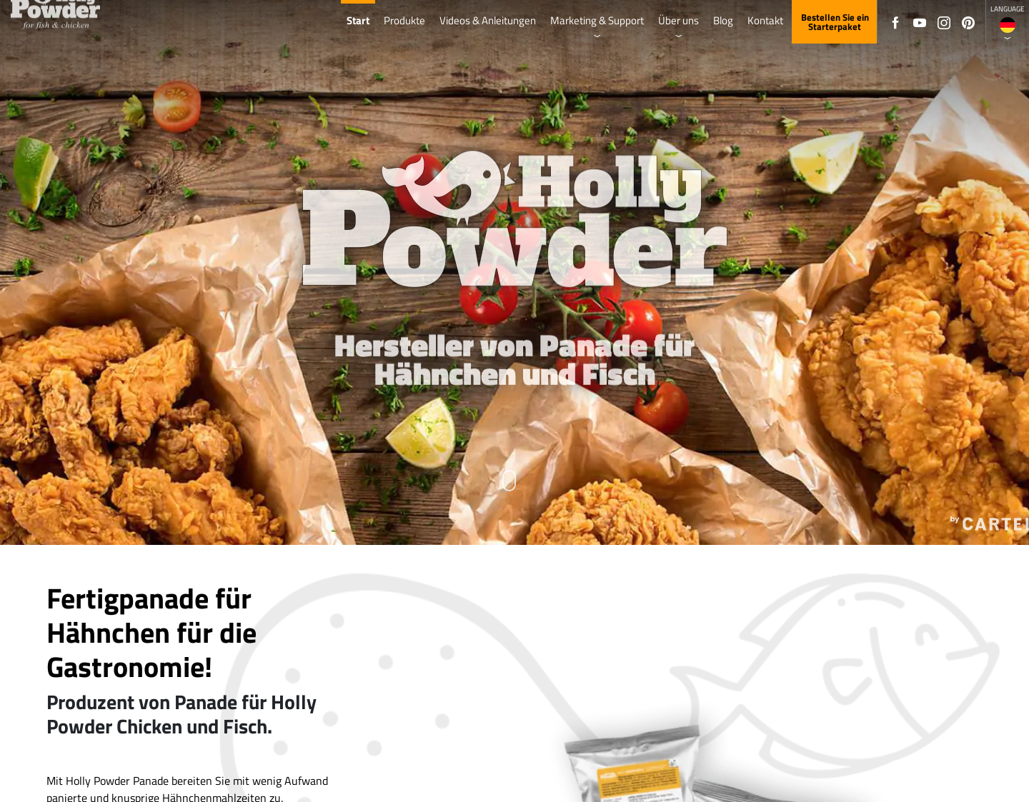 Aktuelle Website-Vorschau von Hähnchen Panade knusprig - Holly Powder