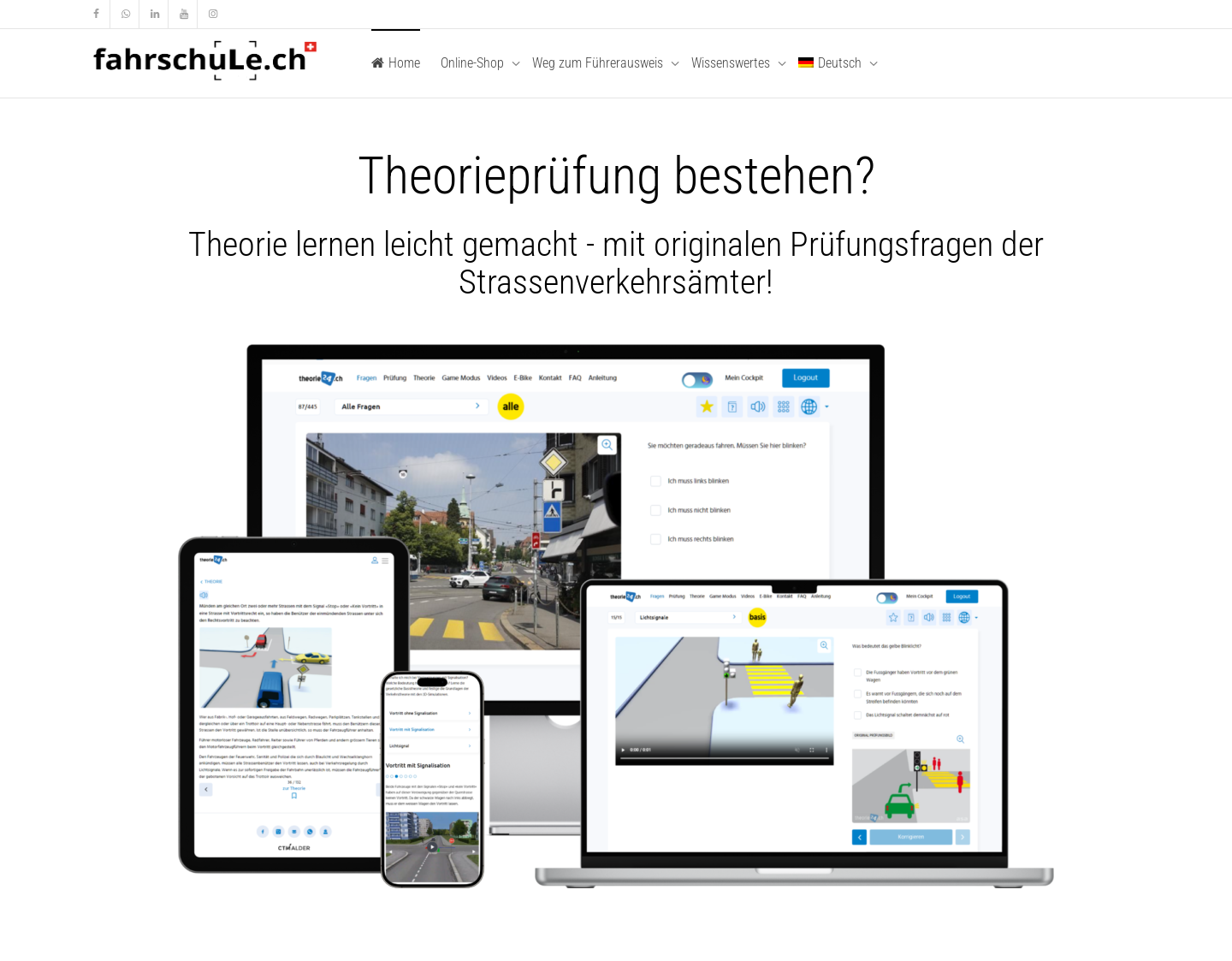 Aktuelle Website-Vorschau von Alles für Deinen Führerschein