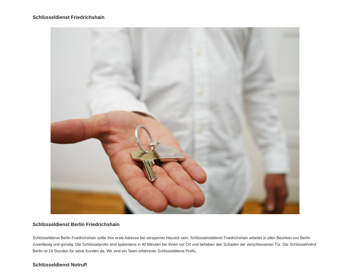 Aktuelle Website-Vorschau von Schließanlagen Friedrichshain