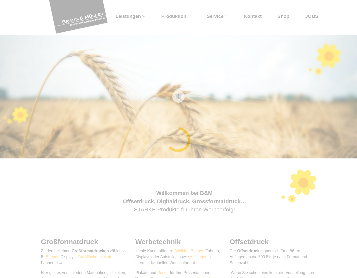 Aktuelle Website-Vorschau von Werbe- und Druckagentur - Braun & Müller