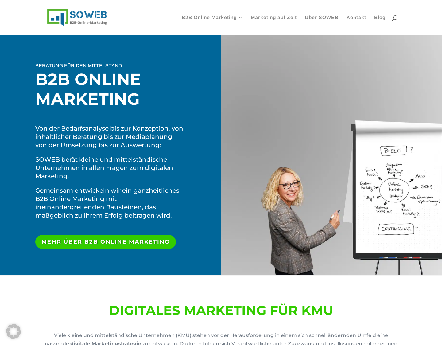 Aktuelle Website-Vorschau von SOWEB - B2B-Online-Marketing