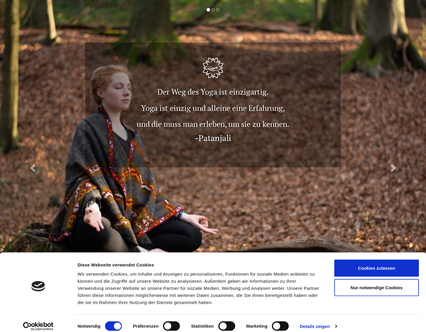 Aktuelle Website-Vorschau von Yogapraxis Padna- Deine individuelle Yogaroutine