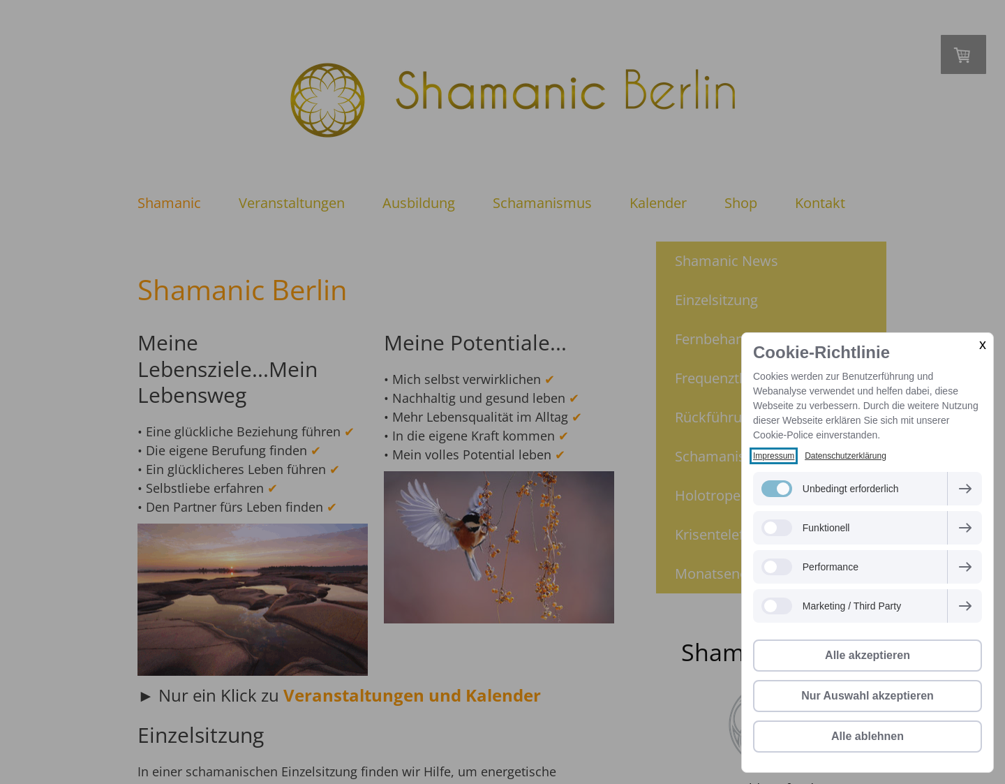 Aktuelle Website-Vorschau von Shamanic Berlin - Schamanismus und Energiearbeit