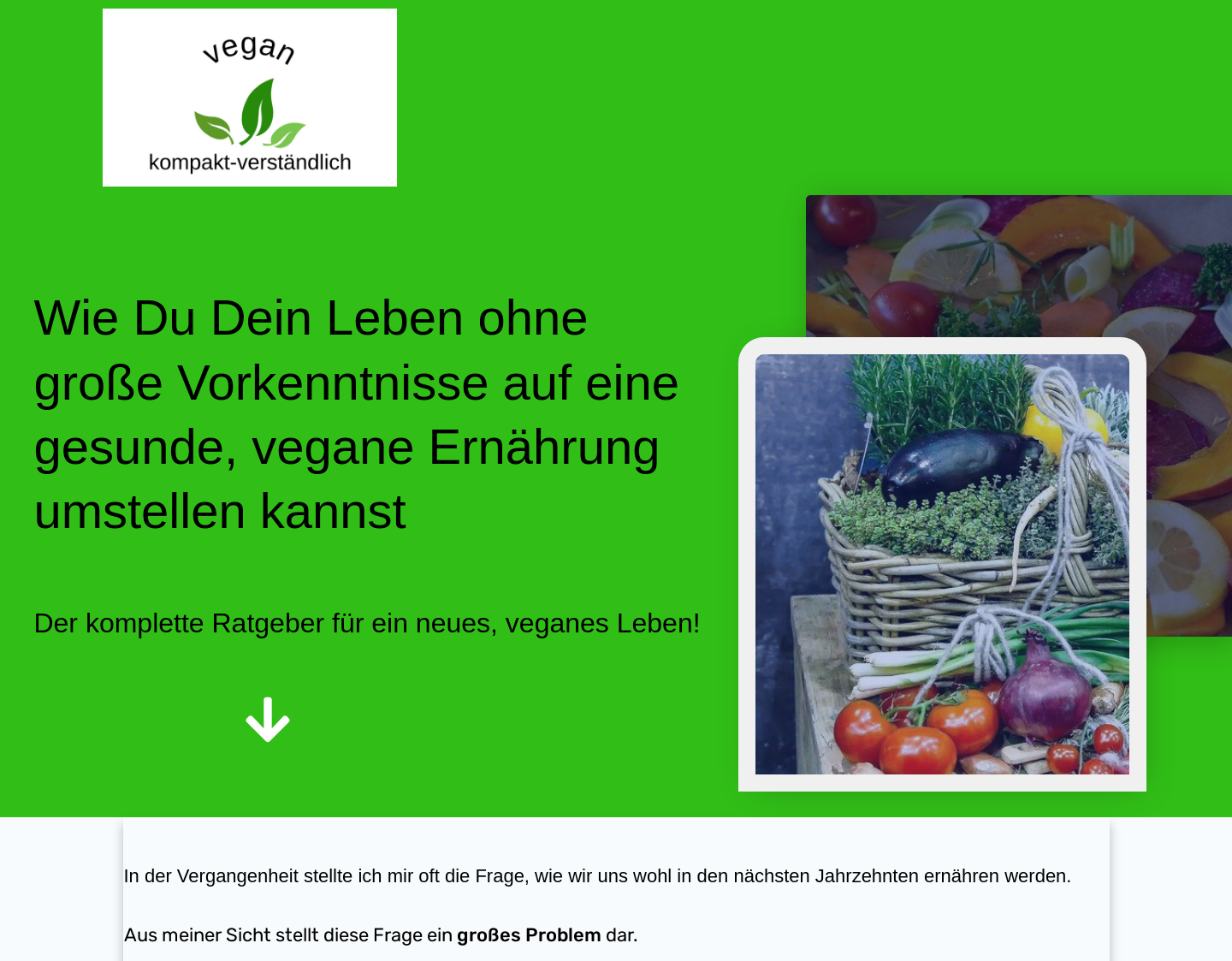 Aktuelle Website-Vorschau von Vegan-Kompakt-Verständlich