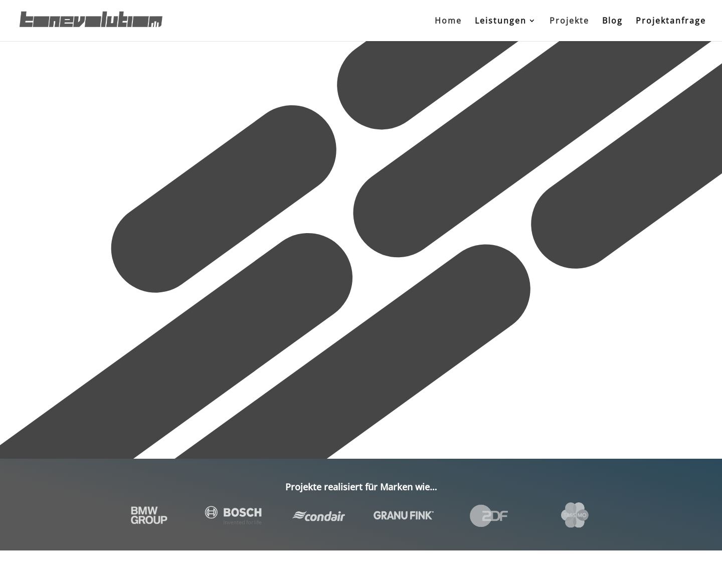 Aktuelle Website-Vorschau von Tonevolution
