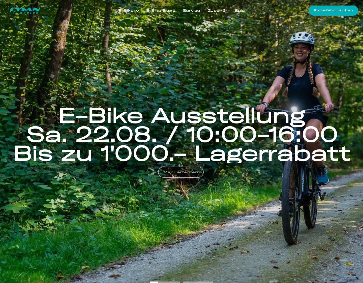 Aktuelle Website-Vorschau von E-Bike mit besonderen Design