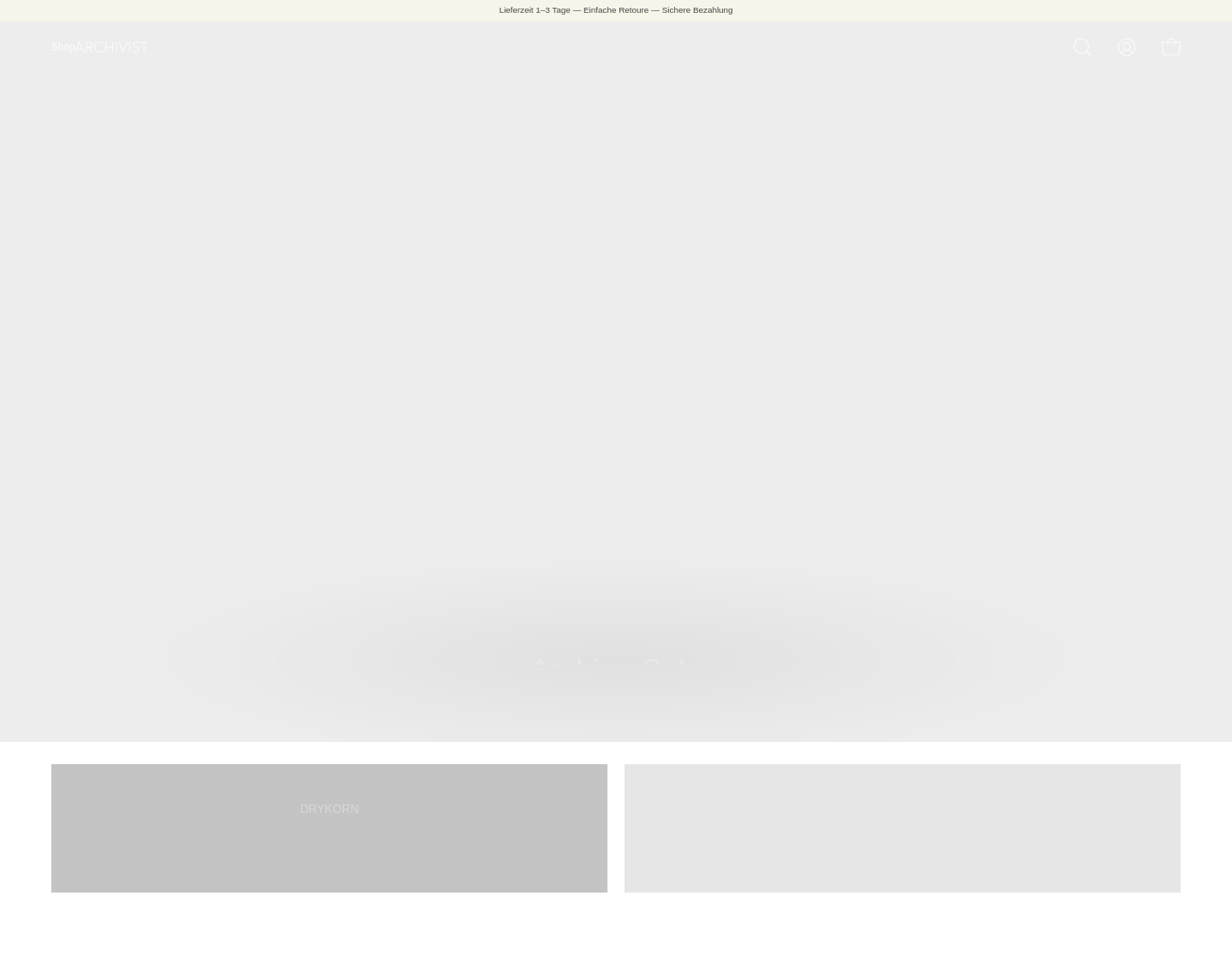 Aktuelle Website-Vorschau von ARCHIVIST