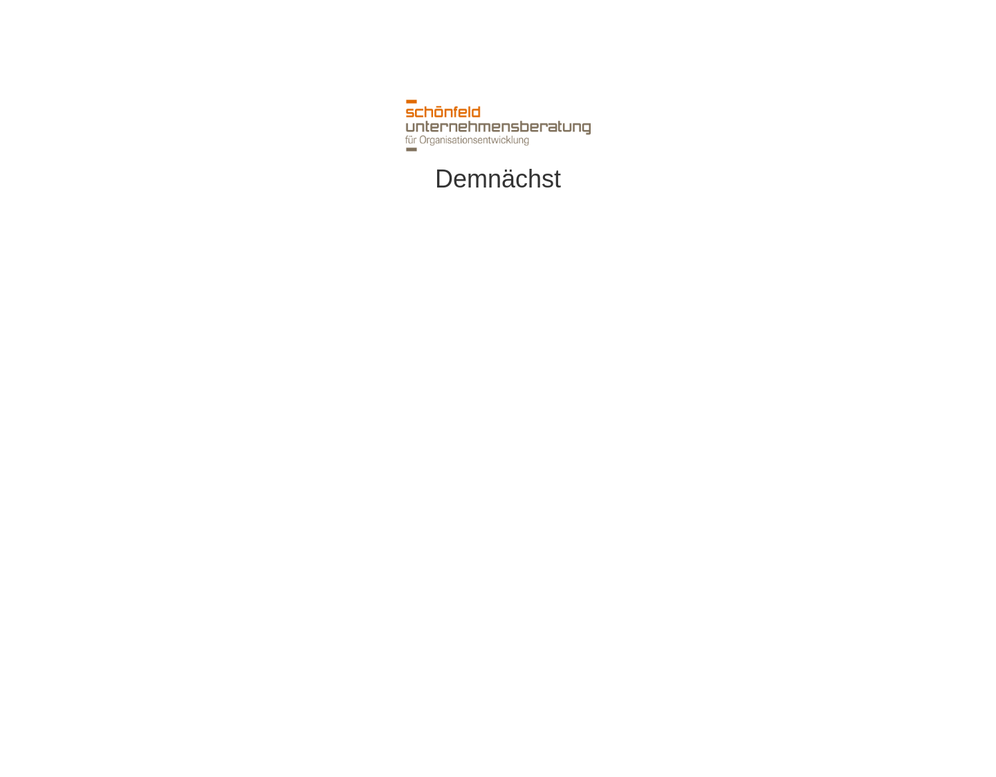 Aktuelle Website-Vorschau von Schönfeld Unternehmensberatung