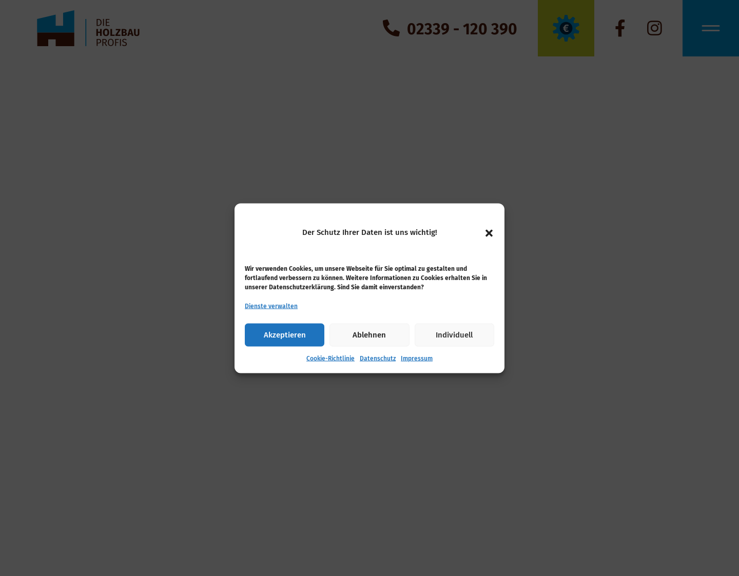 Aktuelle Website-Vorschau von Die Holzbauprofis