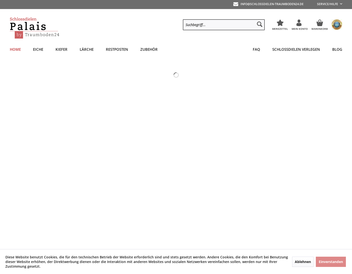 Aktuelle Website-Vorschau von Schlossdielen Palais