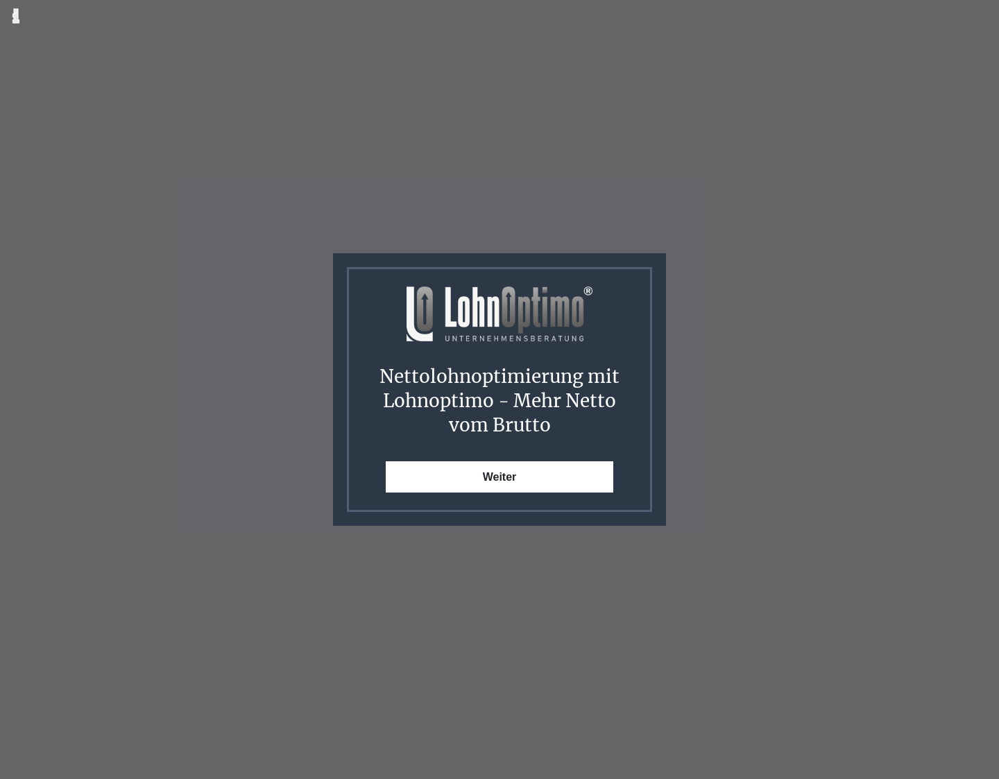 Aktuelle Website-Vorschau von Nettolohnoptimierung