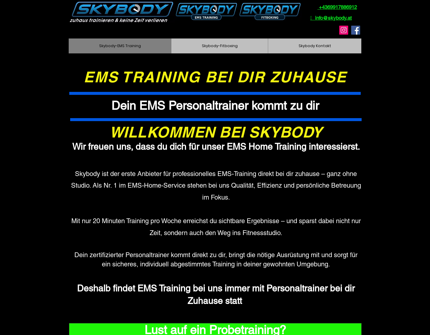 Aktuelle Website-Vorschau von Skybody Zeitsparendes Training Zuhause