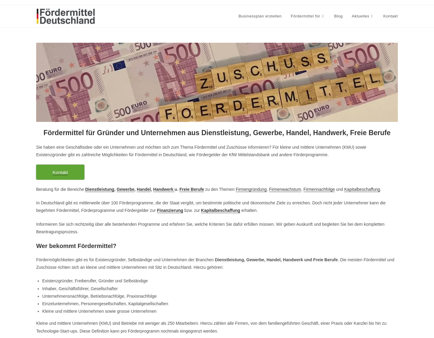 Aktuelle Website-Vorschau von Fördermittel Deutschland