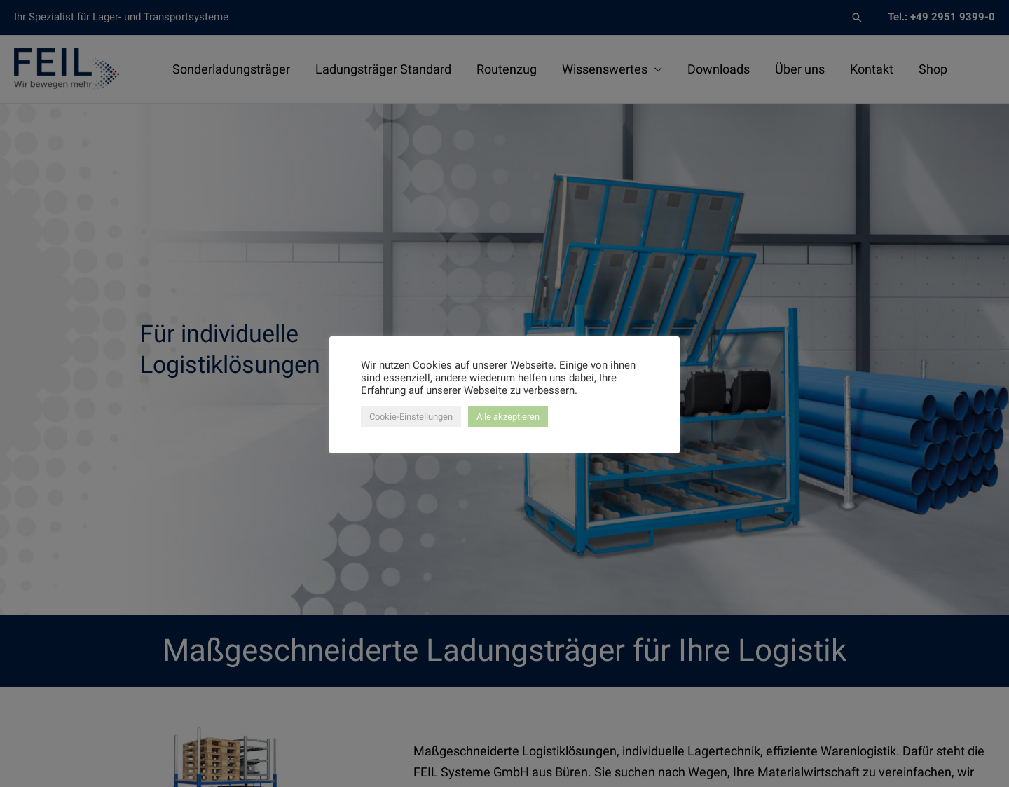 Aktuelle Website-Vorschau von Ladungsträger für Ihre Logistik - FEIL