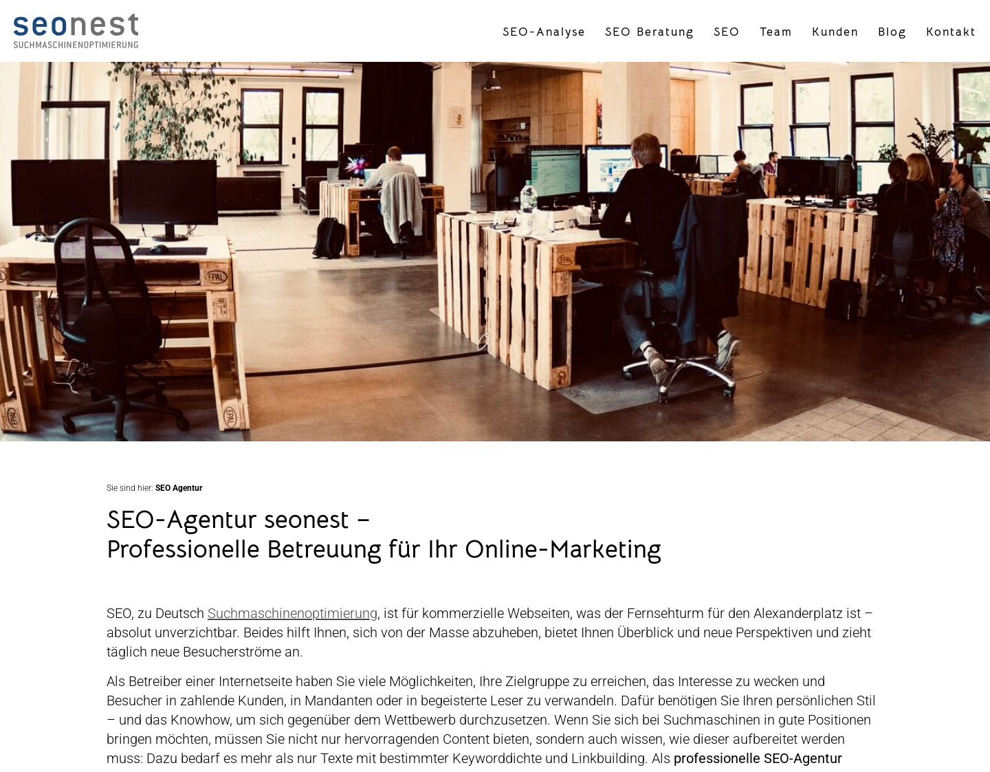 Aktuelle Website-Vorschau von SEO Agentur aus Berlin - seo-nest.de